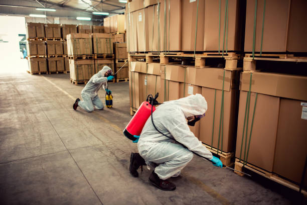 Best Wildlife Control Services  in Rosendale, WI