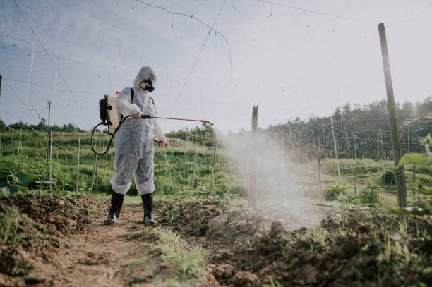 Best Commercial Pest Control Services  in Rosendale, WI