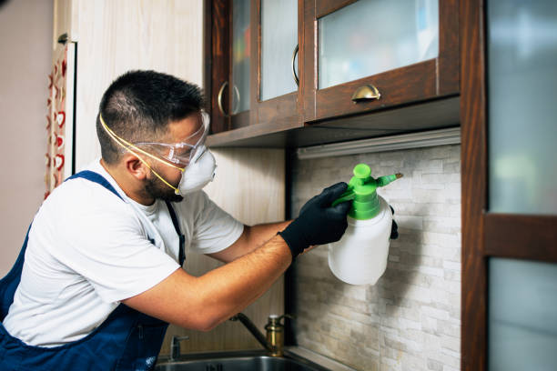 Best Emergency Pest Control  in Rosendale, WI