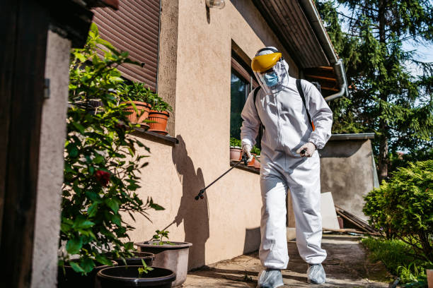 Best Affordable Pest Control Services  in Rosendale, WI