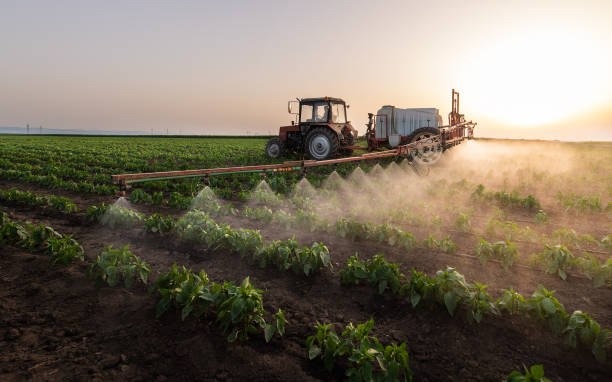 Best Ant Control Services  in Rosendale, WI