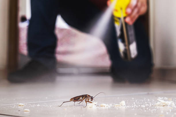 Best Exterminator Services  in Rosendale, WI