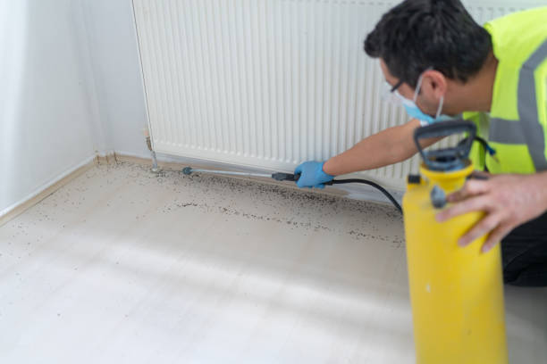 Best Pest Inspection Near Me  in Rosendale, WI