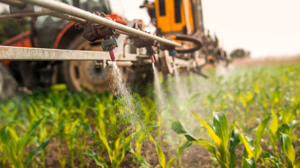 Wildlife Control Services in Rosendale, WI